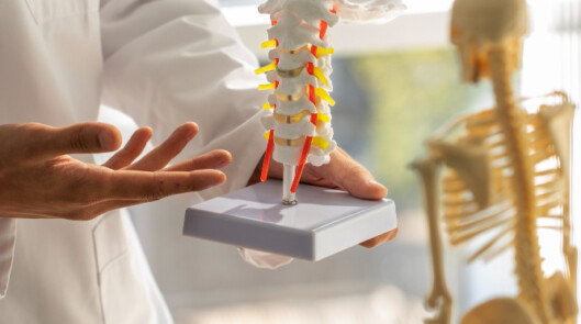 Движение – это жизнь