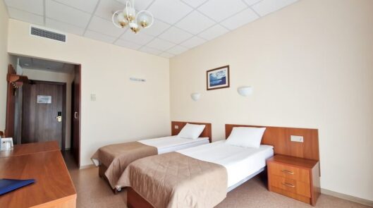 Стандарт (без вида)