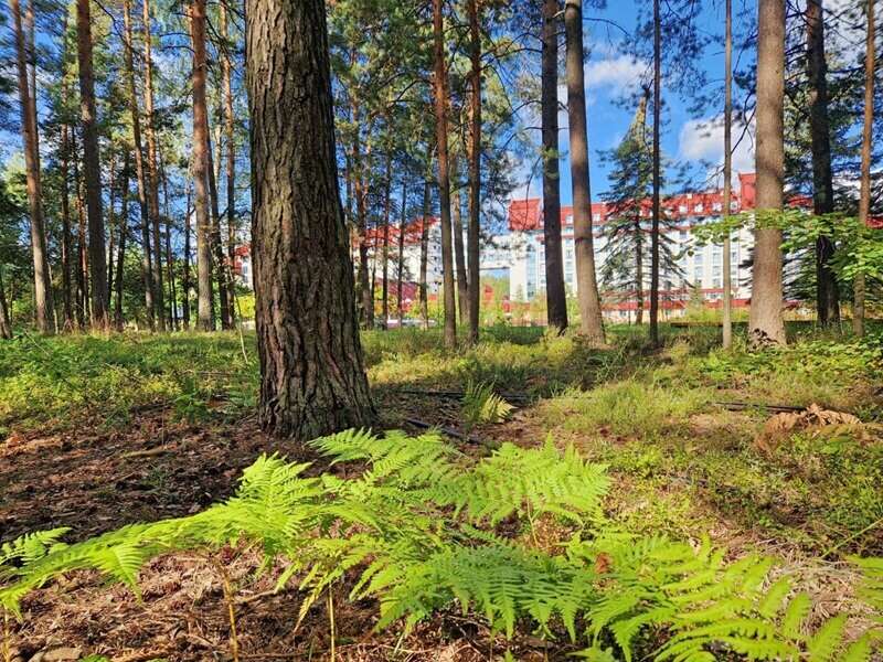 Ремонтные работы